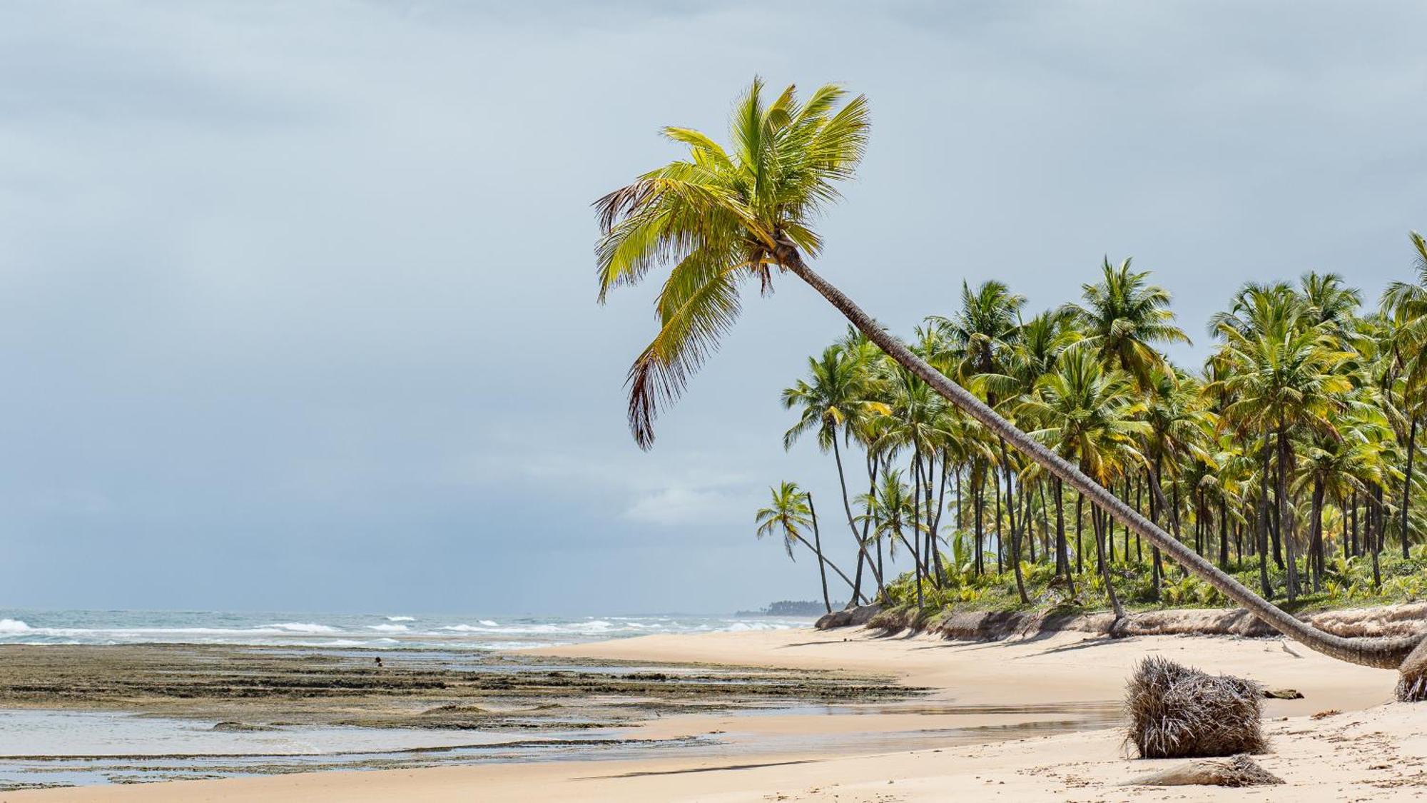 Inn Pousada Canto Dos Encantos Barra Grande (Bahia)